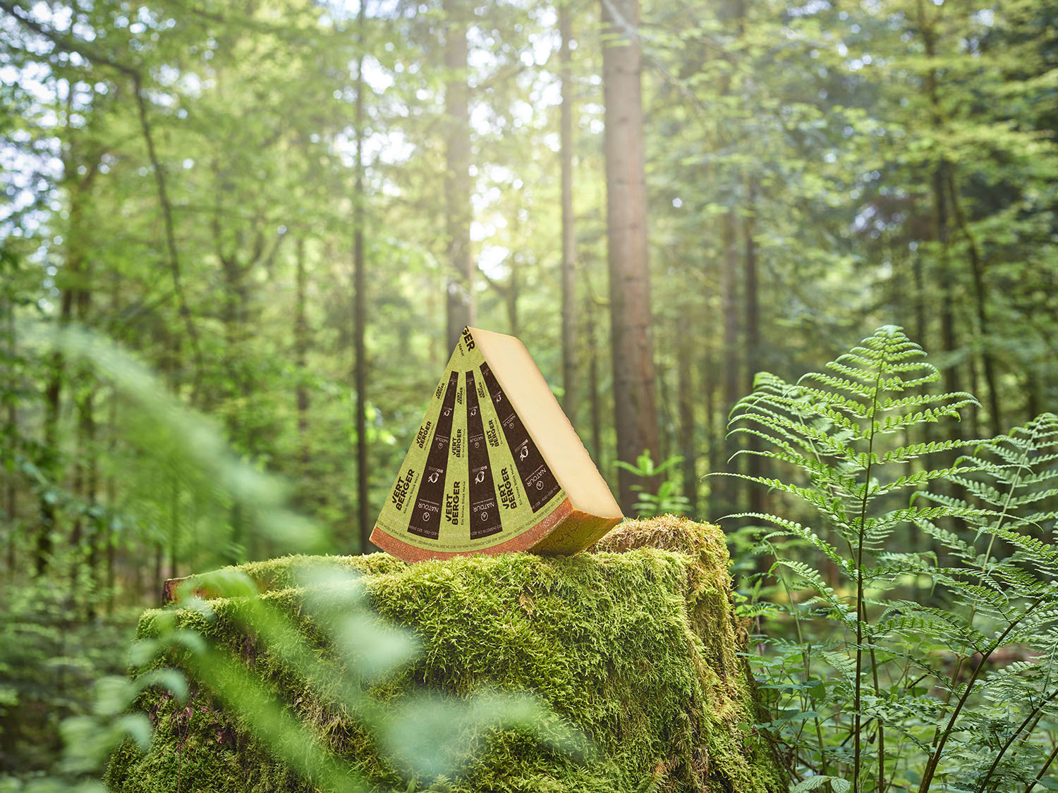 Kompetenz visualisieren