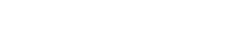 Logo Bracher und Partner Recht AG